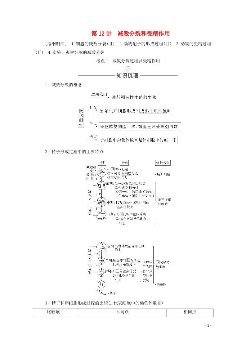 2021届高考生物一轮复习第4单元细胞的有生命历程第12讲减数分裂和受精作用教学案新人教版必修1