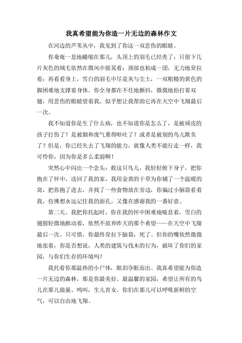 我真希望能为你造一片无边的森林作文