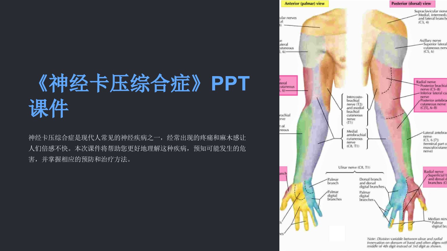 《神经卡压综合症》课件