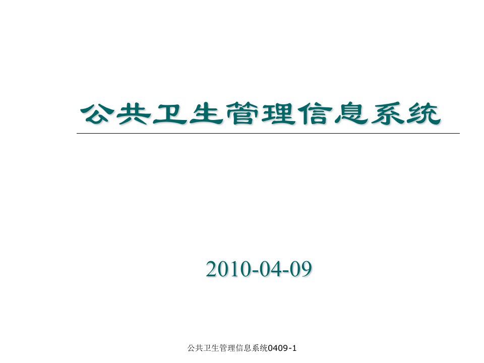 公共卫生管理信息系统04091课件