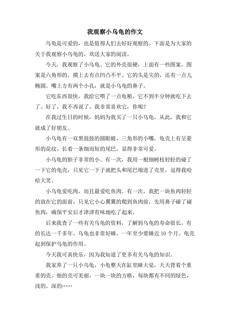 我观察小乌龟的作文