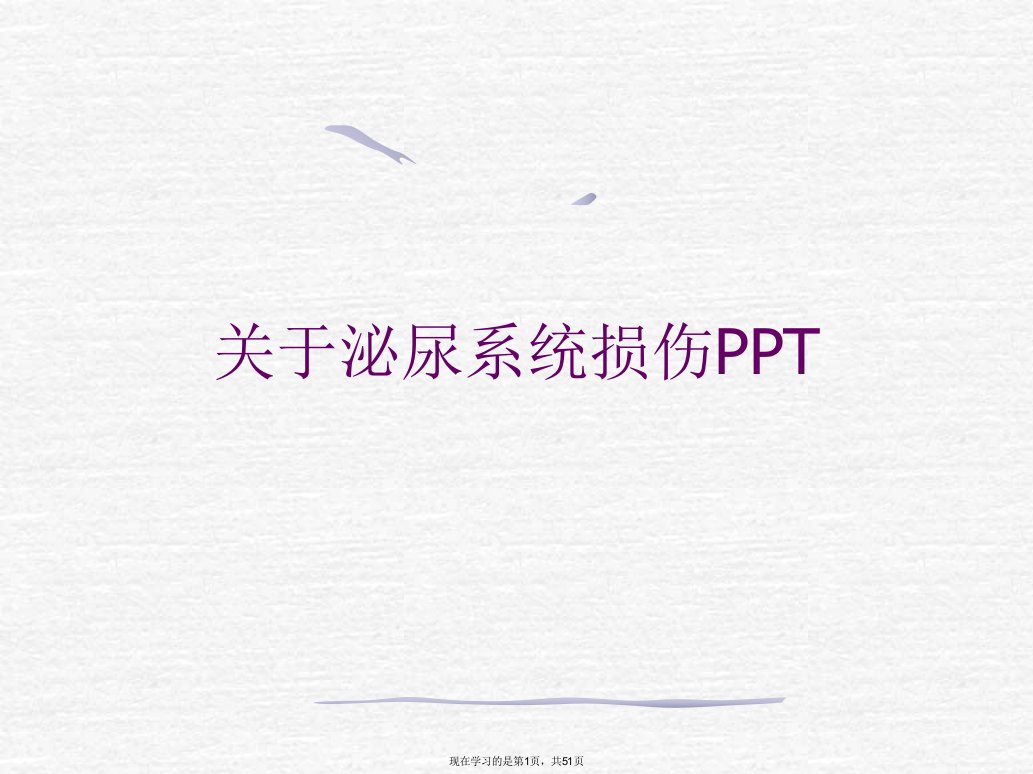 泌尿系统损伤PPT课件