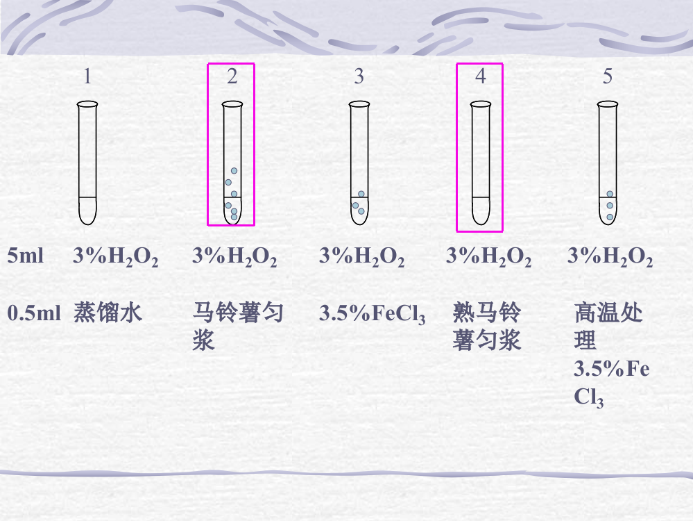 探究影响酶活性的因素（实验）