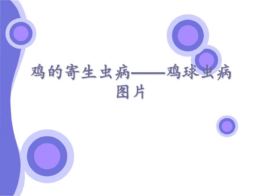 鸡的寄生虫病