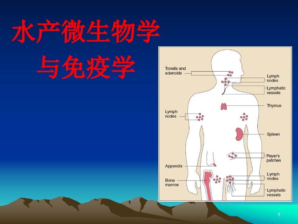 水产微生物学与免疫学ppt课件