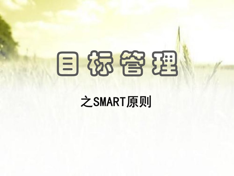 目标管理之smart原则培训