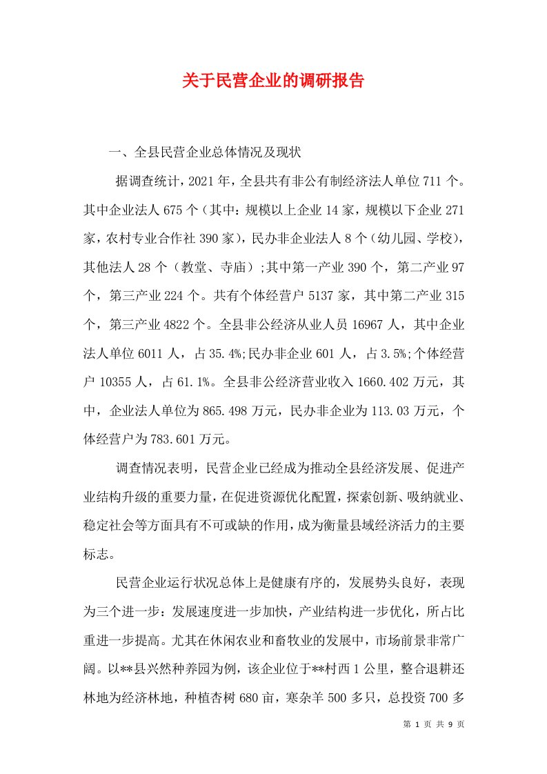 关于民营企业的调研报告（十）