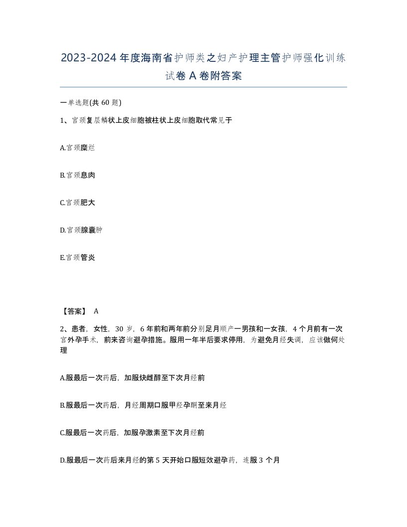 2023-2024年度海南省护师类之妇产护理主管护师强化训练试卷A卷附答案