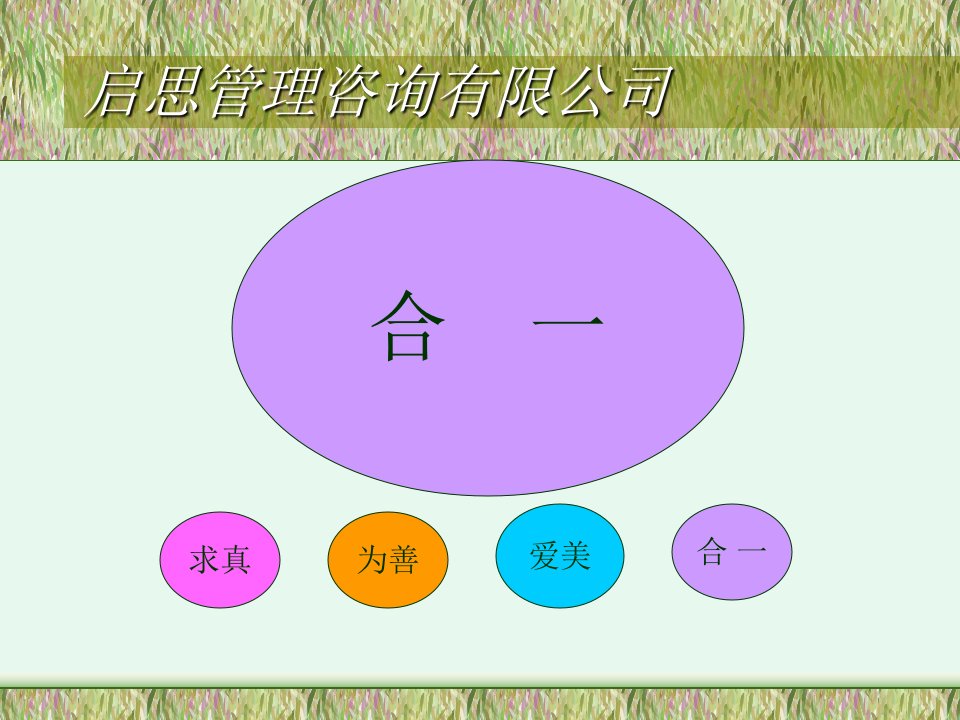 启思管理咨询有限公司策略管理(ppt36)-咨询报告