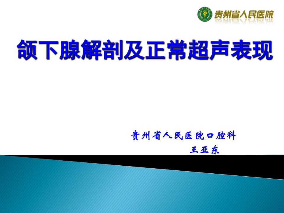 颌下腺解剖及正常超声表现课件