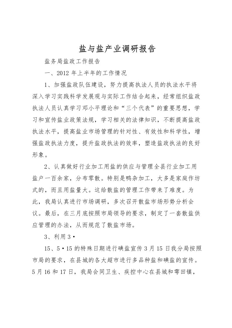 2022盐与盐产业调研报告