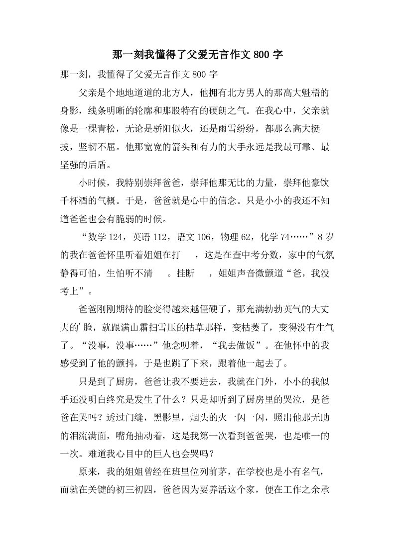 那一刻我懂得了父爱无言作文800字