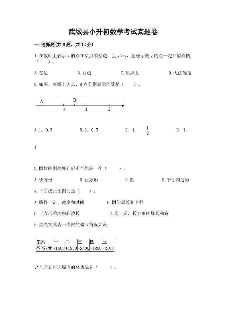 武城县小升初数学考试真题卷完美版