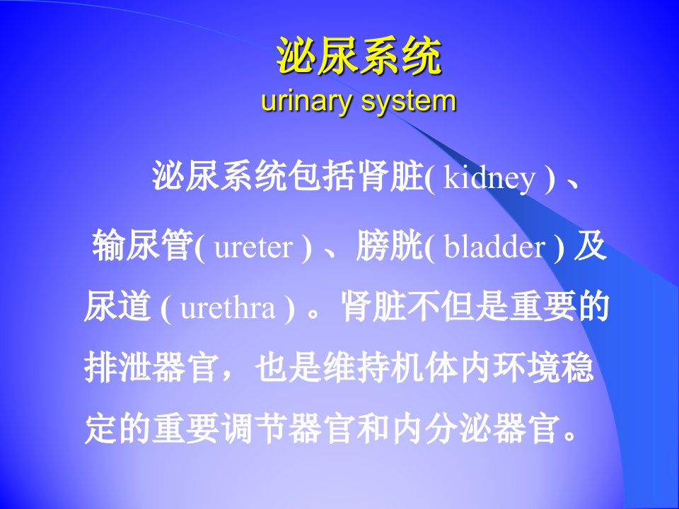 医学院儿科学临床医学五年制课件泌尿系统