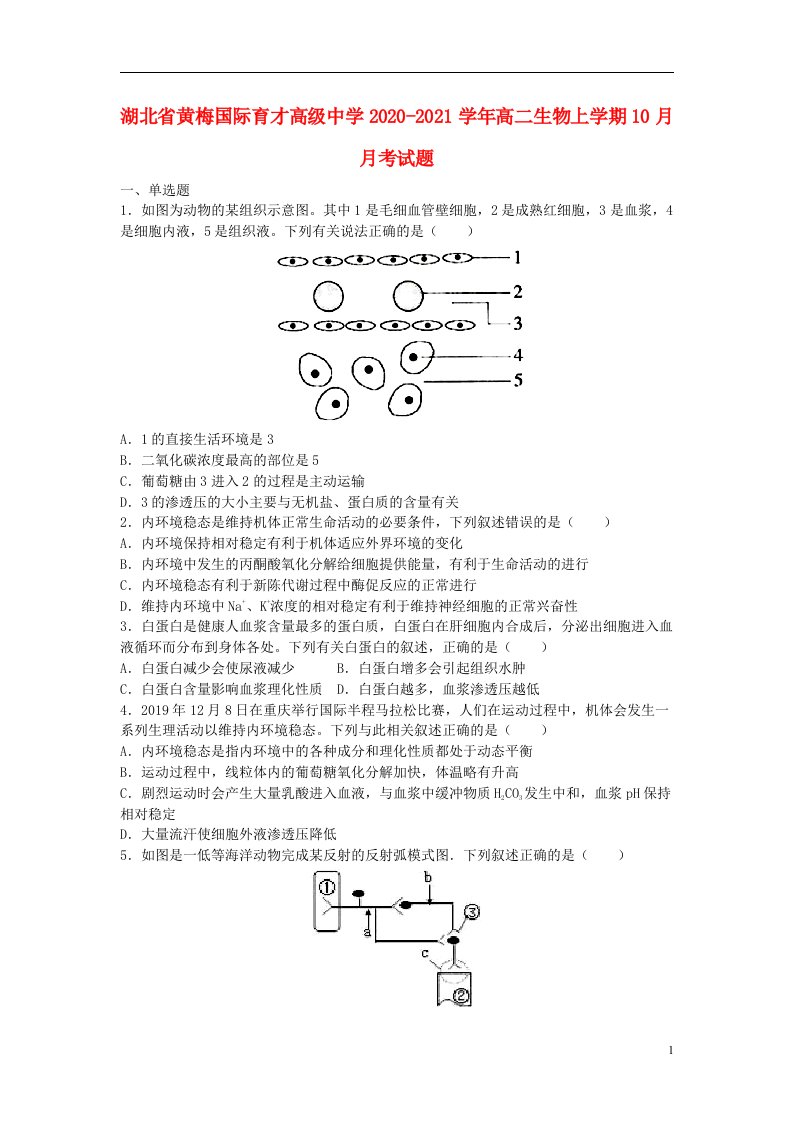 湖北省黄梅国际育才高级中学2020_2021学年高二生物上学期10月月考试题