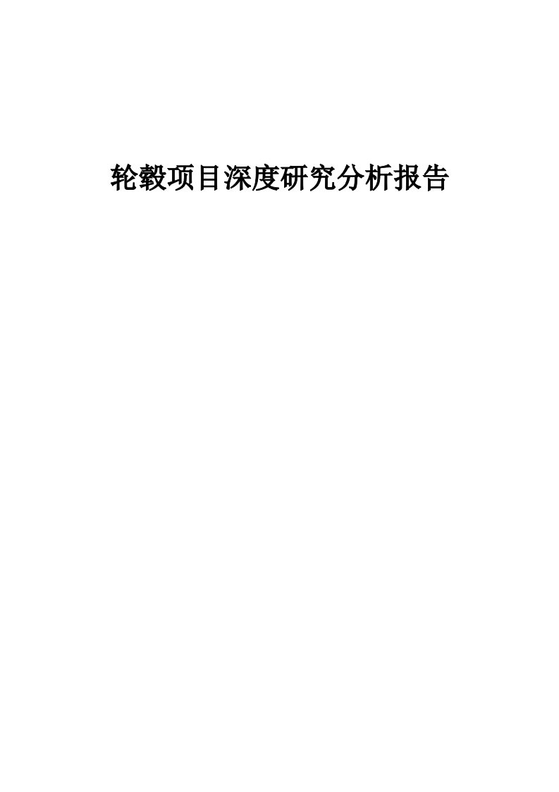 轮毂项目深度研究分析报告