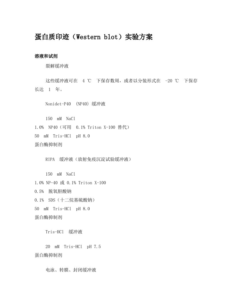 蛋白质印迹(Western+blot)实验方案