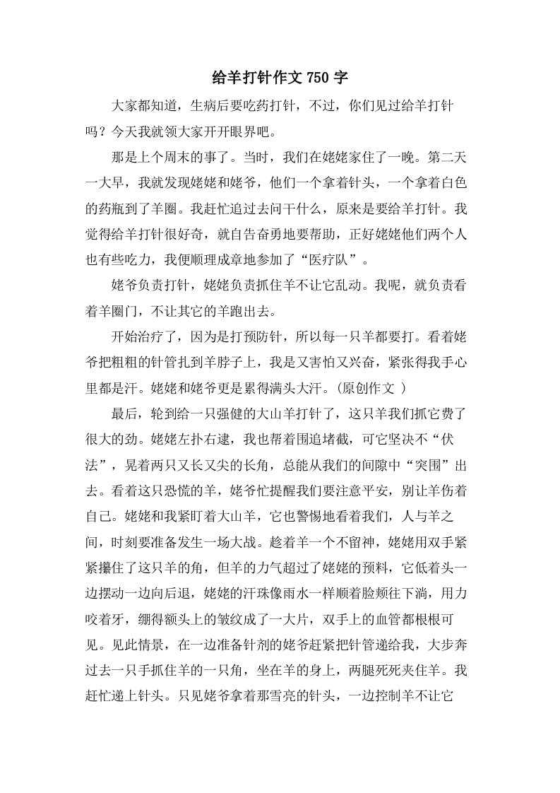 给羊打针作文750字