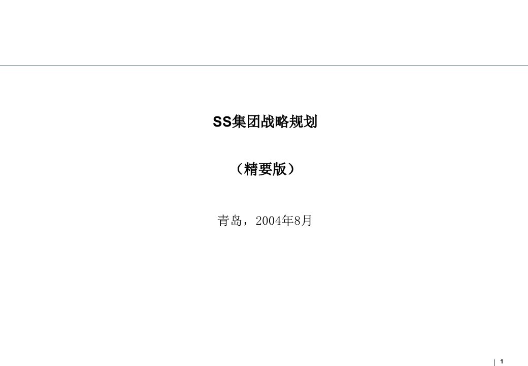 SS集团战略规划-补充