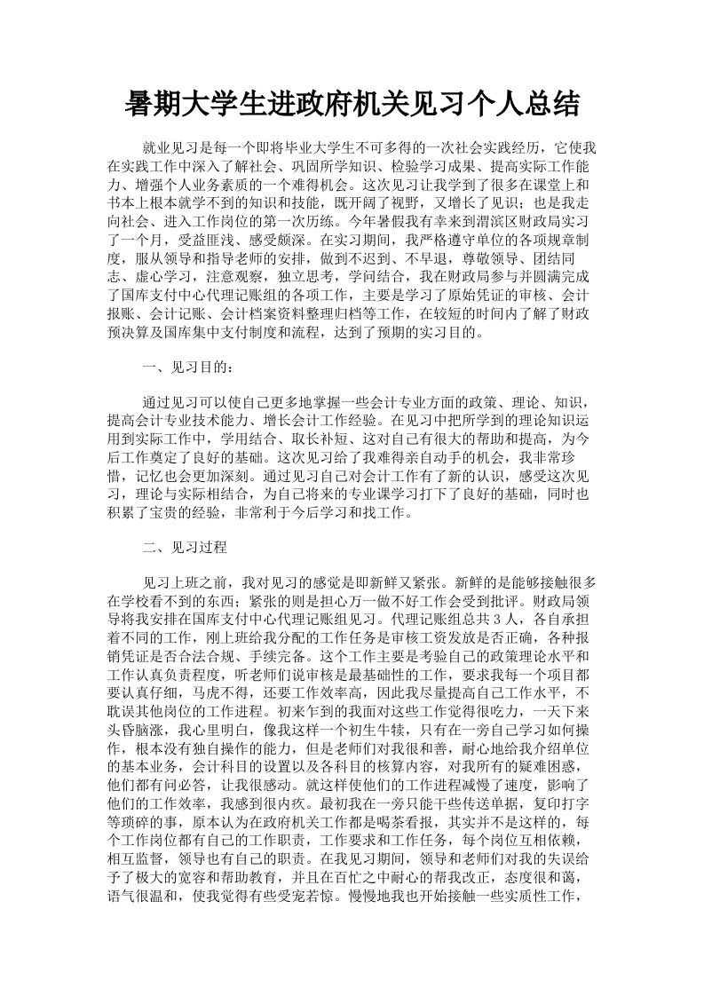 暑期大学生进政府机关见习个人总结