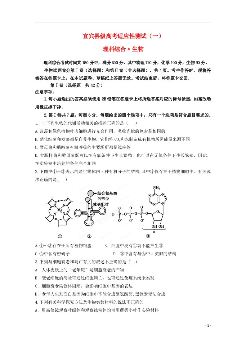 四川省宜宾县高考生物适应性测试（一）试题