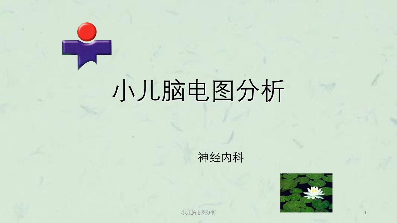 小儿脑电图分析ppt课件