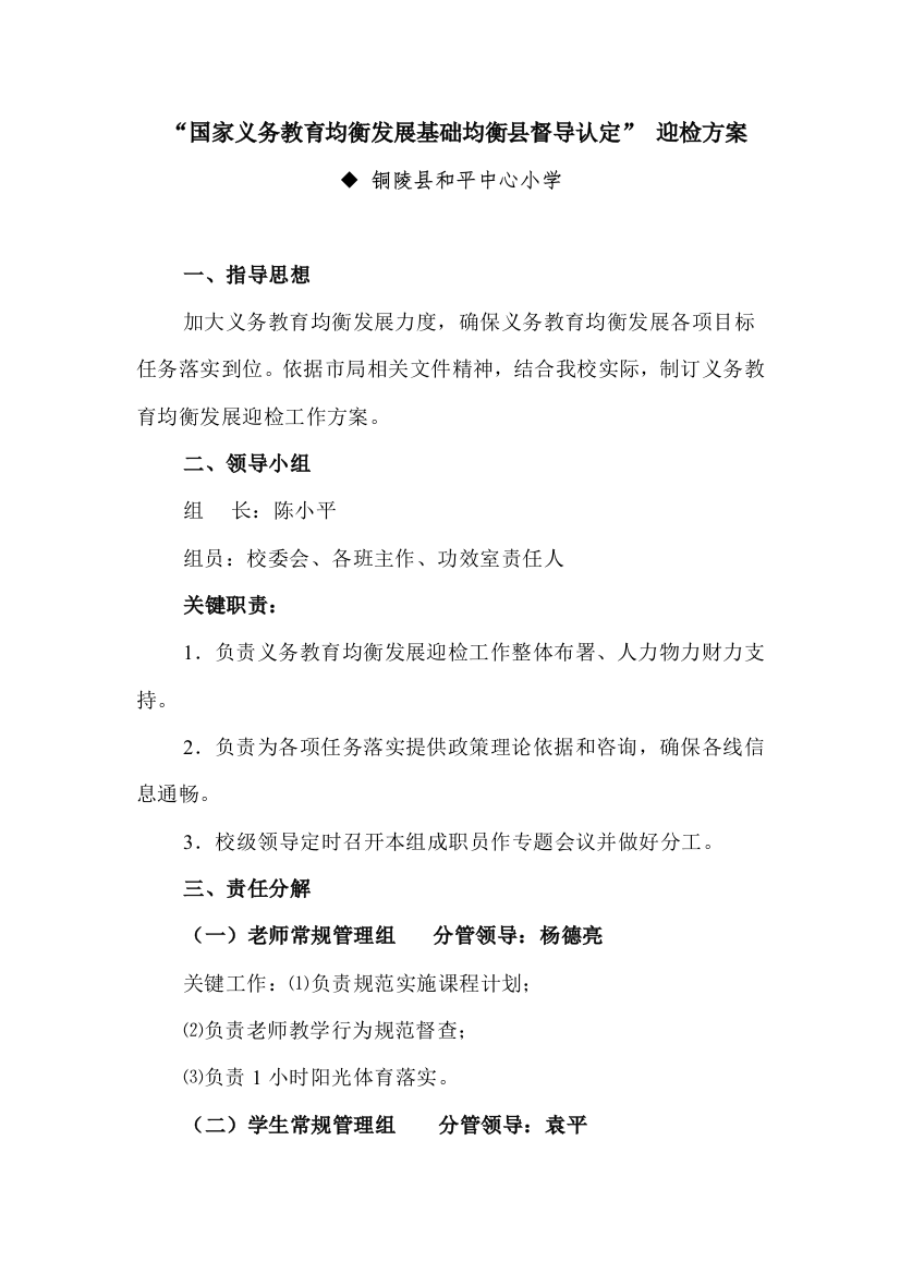 中心小学迎检专项方案