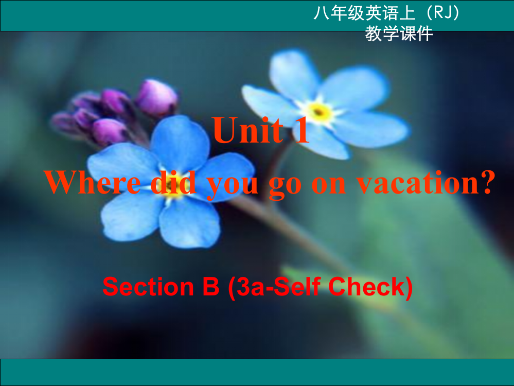 人教版初中英语八年级上册Section-B-3aSC-教学