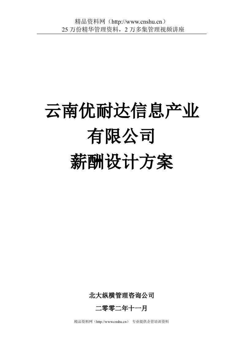 优耐达信息产业公司薪酬设计方案