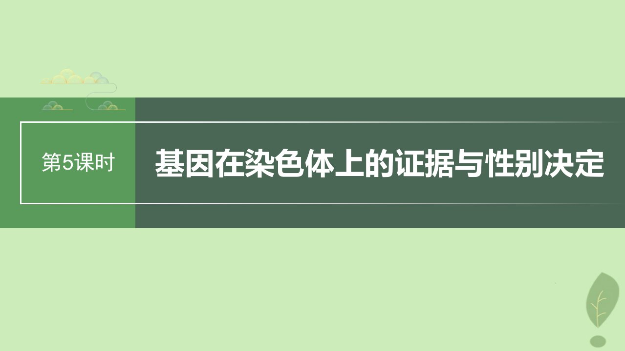 2024届高考生物一轮复习第五单元基因的传递规律第5课时基因在染色体上的证据与性别决定课件苏教版