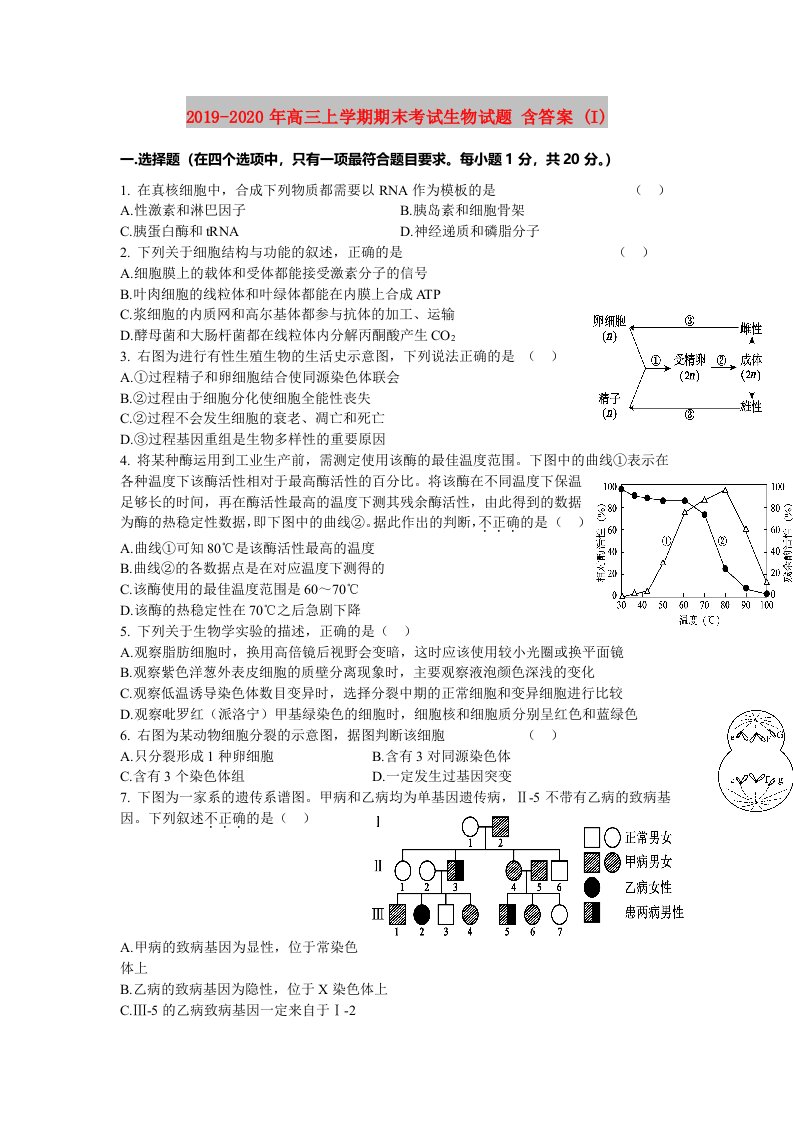 2019-2020年高三上学期期末考试生物试题