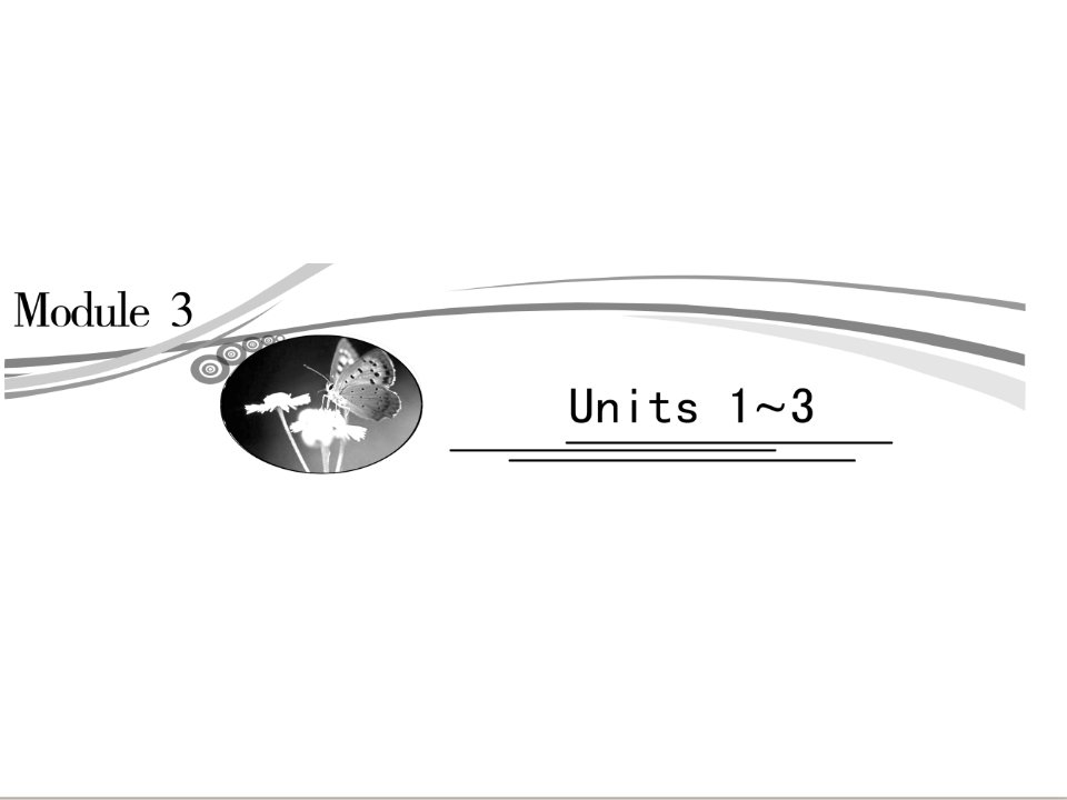 2013届高三英语一轮复习课件：Unit+1（牛津译林版必修3）