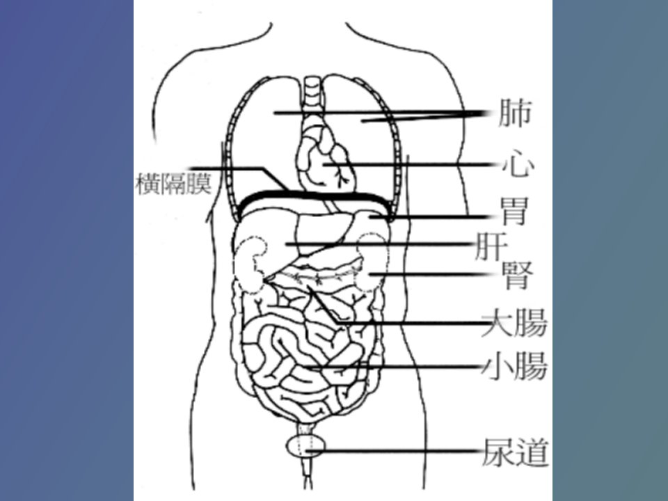 生物体内营养物质的转变