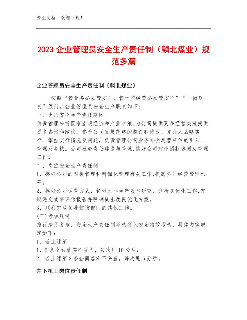 2023企业管理员安全生产责任制（麟北煤业）规范多篇