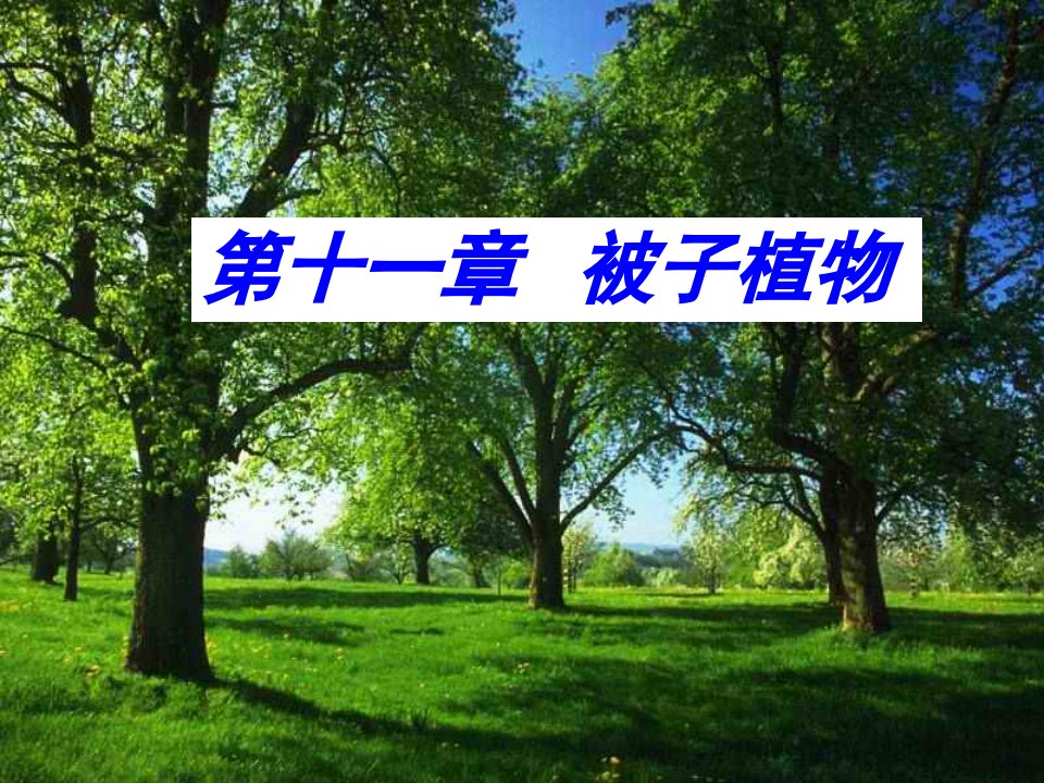 《植物学教学资料》第11章