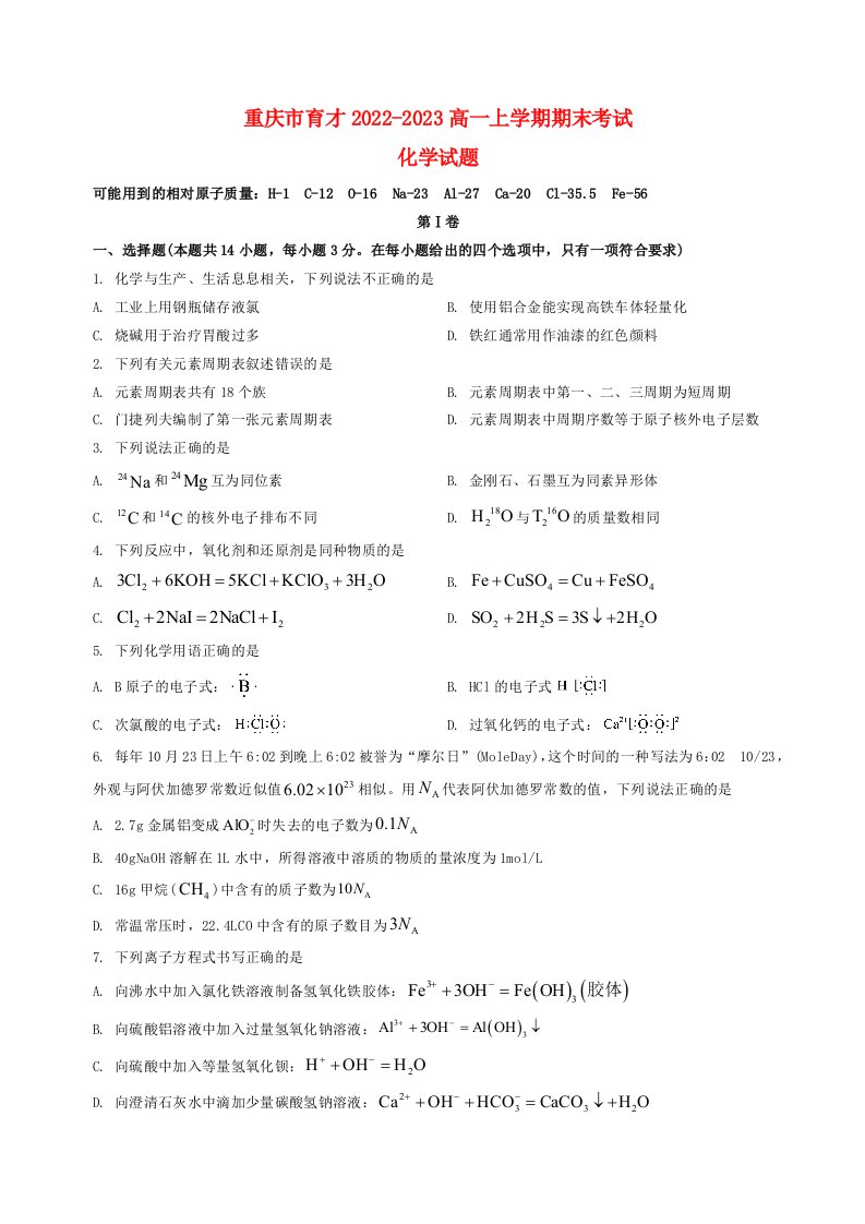 重庆市育才2022_2023高一化学上学期期末考试试题