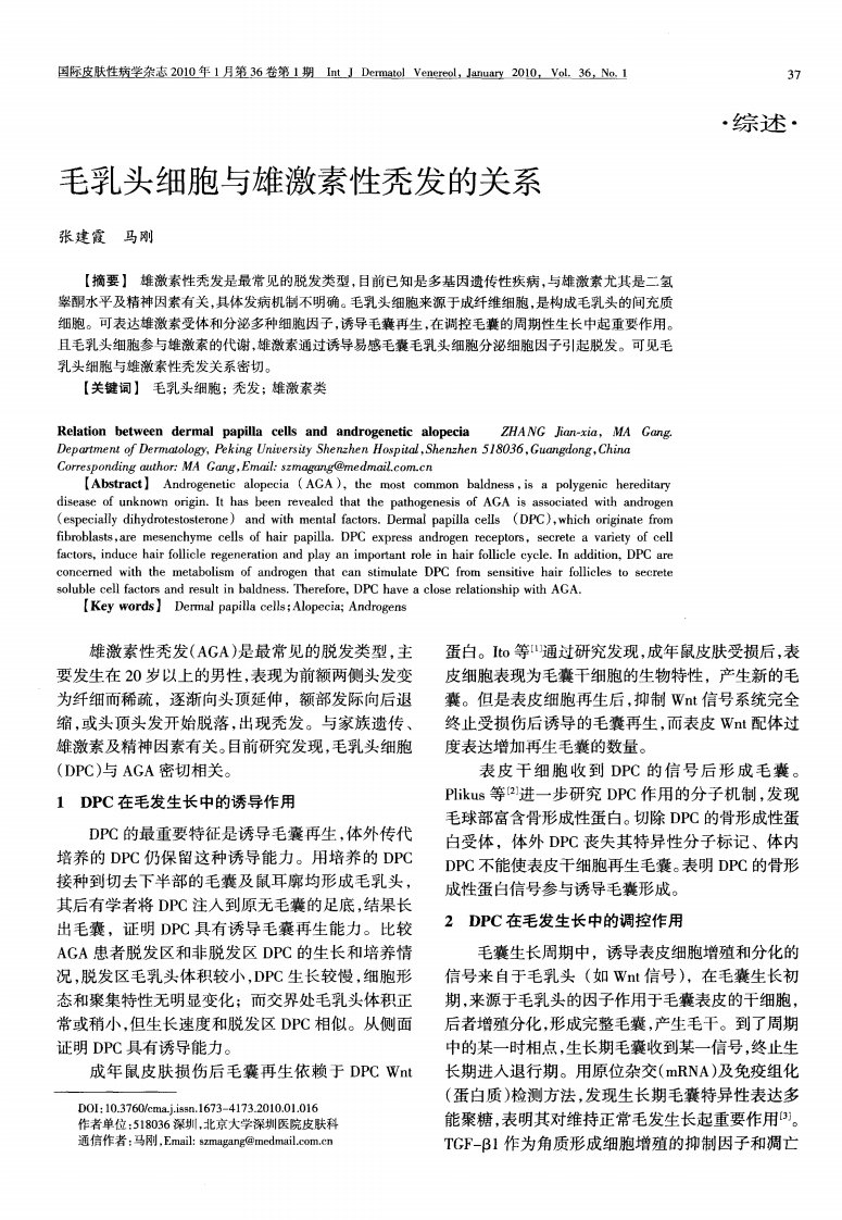 毛乳头细胞与雄激素性秃发的关系.pdf