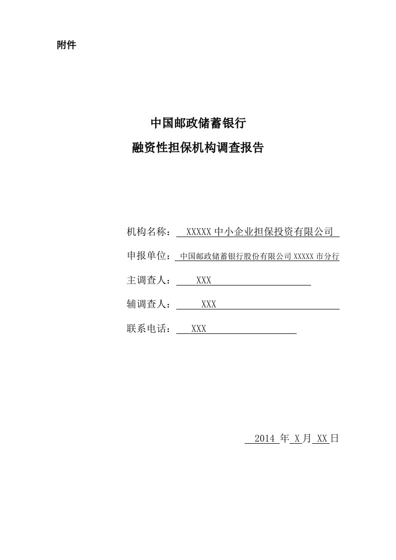 案例模式-融资性担保机构调查报告示例