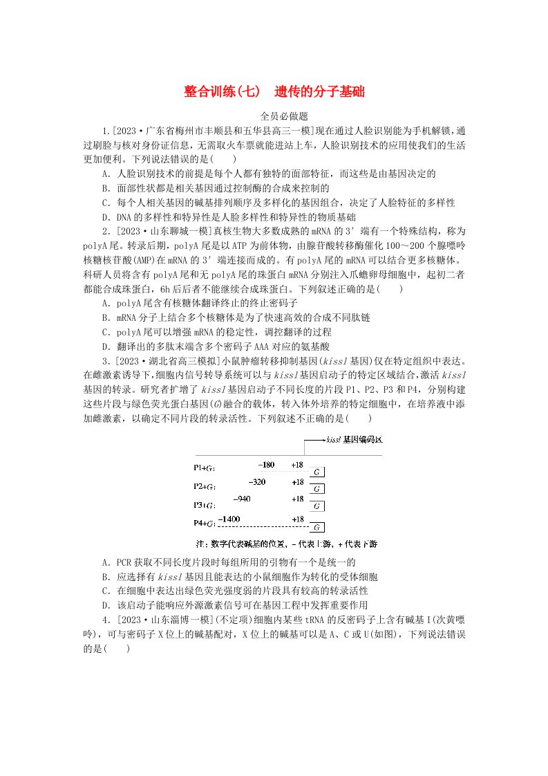 新教材2024高考生物二轮专题复习整合训练7遗传的分子基础