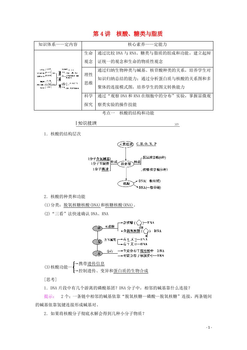 2022届高考生物一轮复习第一单元走近细胞第4讲核酸糖类与脂质教案新人教版