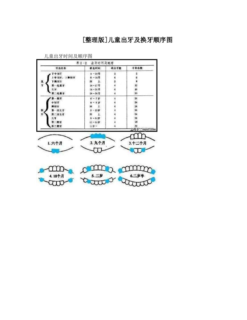 [整理版]儿童出牙及换牙顺序图