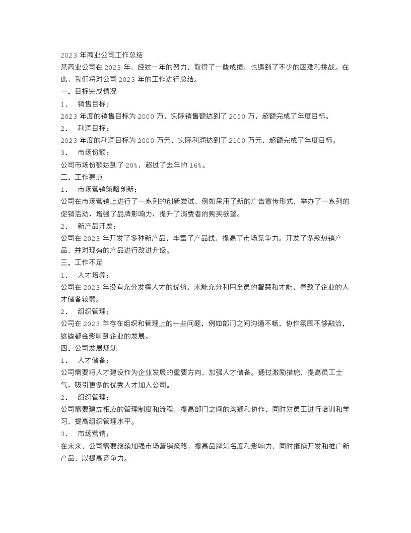 商业公司2023年工作总结格式