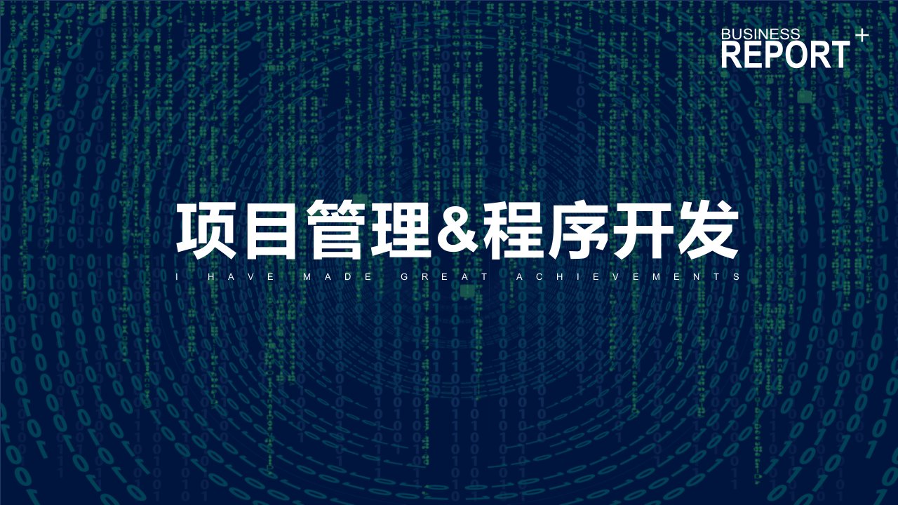 IT项目管理程序开发编程总结汇报辅导PPT演示资料课件