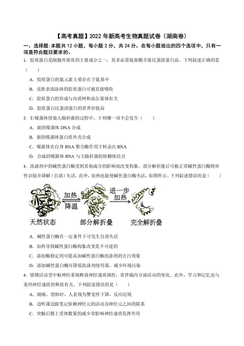 【高考真题】2022年新高考生物真题试卷（湖南卷）及答案