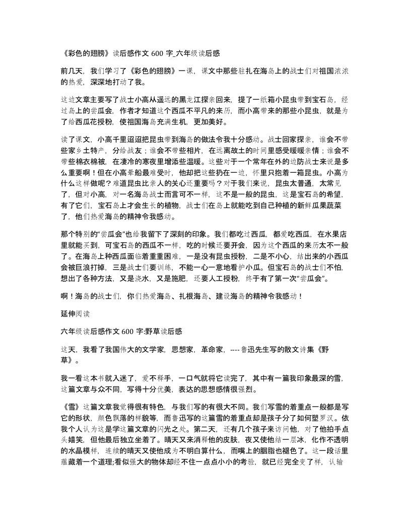 彩色的翅膀读后感作文600字六年级读后感