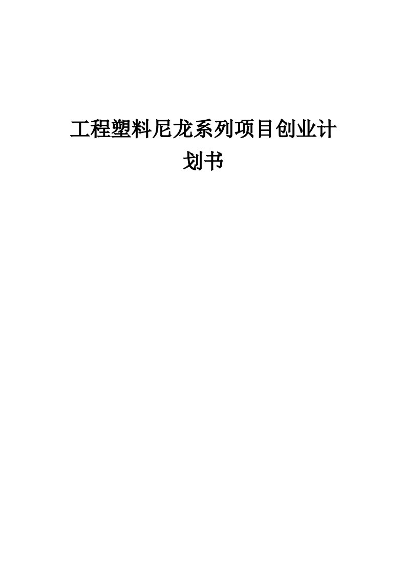 工程塑料尼龙系列项目创业计划书