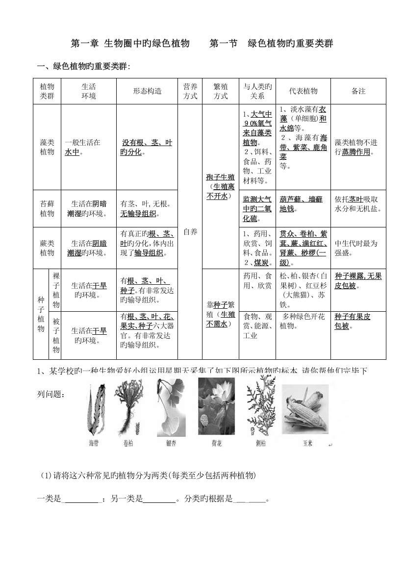 2023年生物圈中的绿色植物复习知识点