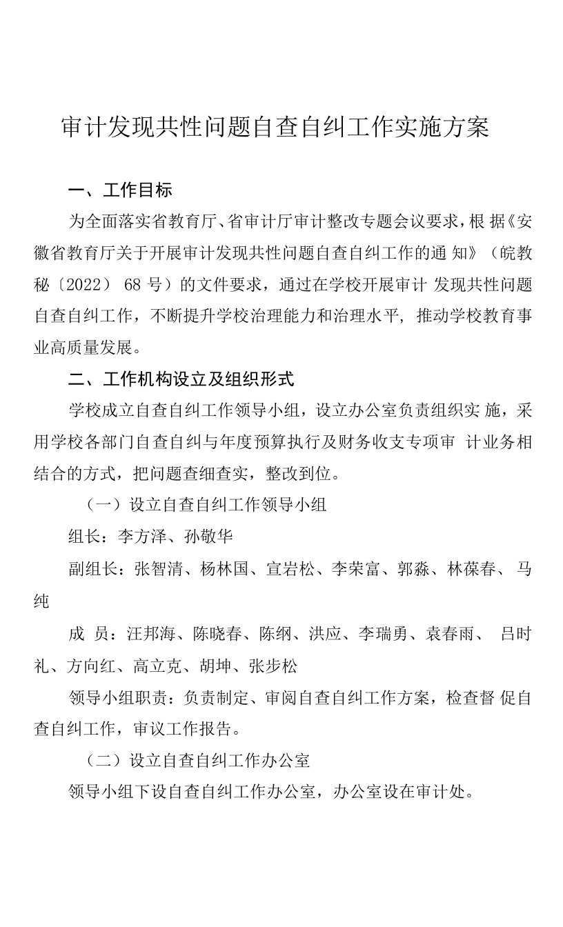 审计发现共性问题自查自纠工作实施方案