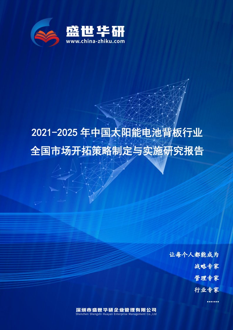 2021-2025年中国太阳能电池背板行业全国市场开拓策略制定与实施研究报告