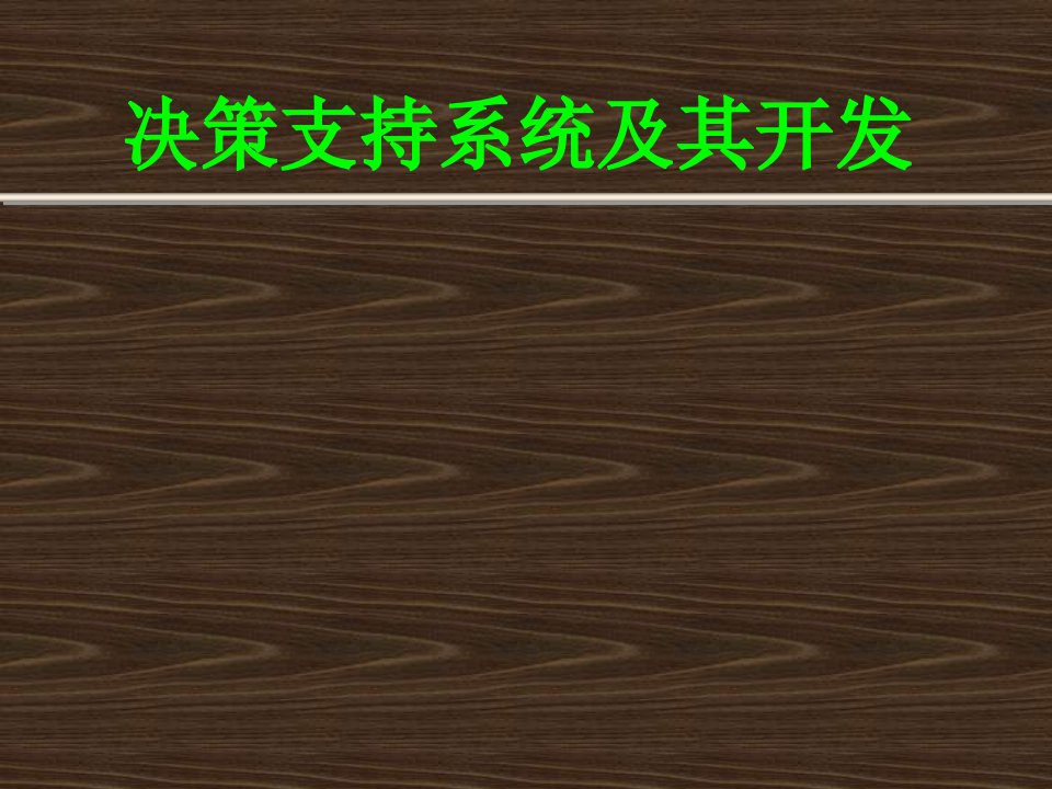 决策支持系统导论